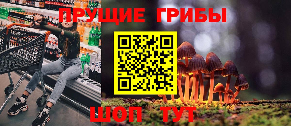 Псилоцибиновые грибы прущие грибы  Вход с VPN  Псилоцибиновые грибы ЛСД  Егорьевск 